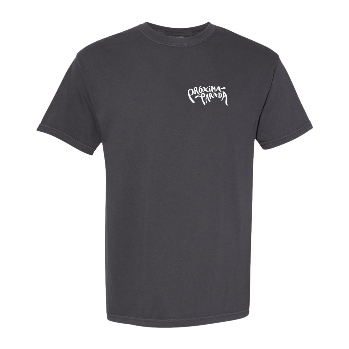 Logo T-Shirt - Graphite